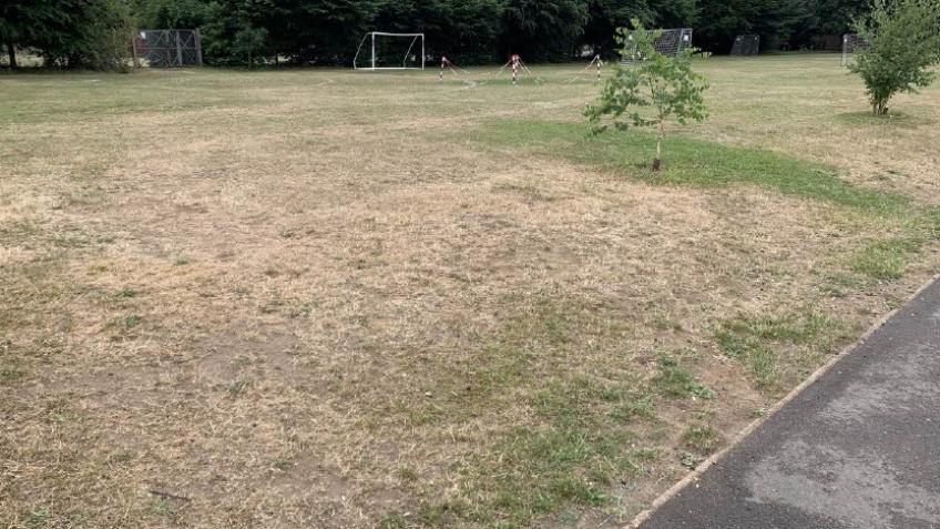 Help WFJS build all-weather pitch : Sponsored Walk
