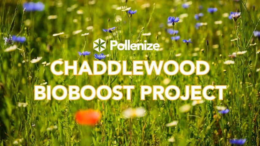 Chaddlewood Bioboost Project