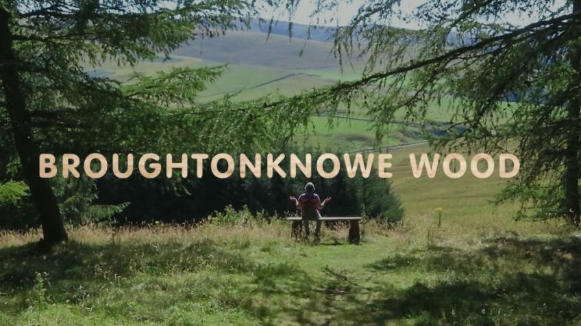 Broughtonknowe Wood Community Buyout
