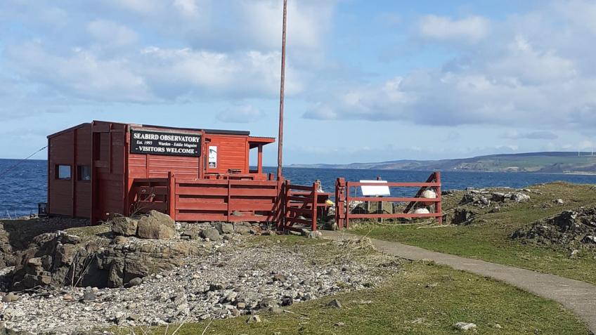 Machrihanish Seabird and Wildlife Observatory