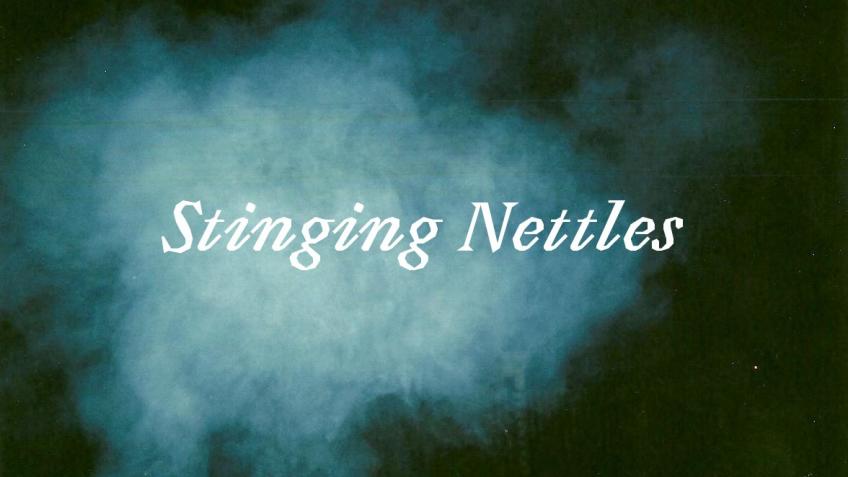 STINGING NETTLES – short film
