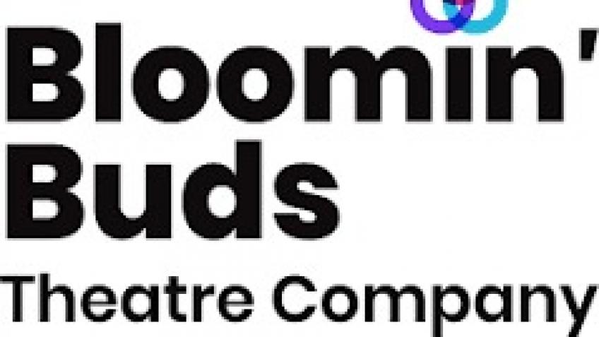 Help us raise £800 for CCTV cameras