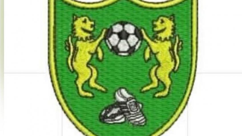 Yeovil District Football Club