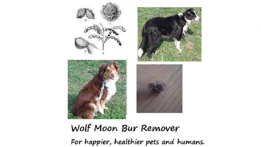 Wolf Moon Burr Remover