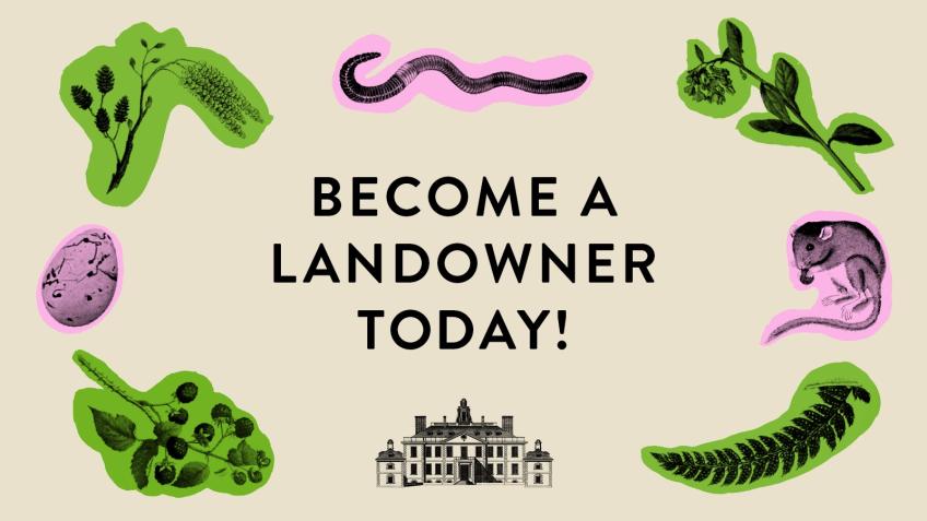 BUY THE DUKE OF WESTMINSTER'S LAND! BARGAIN PRICE!