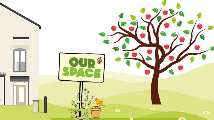 The Vale - Community Garden Project