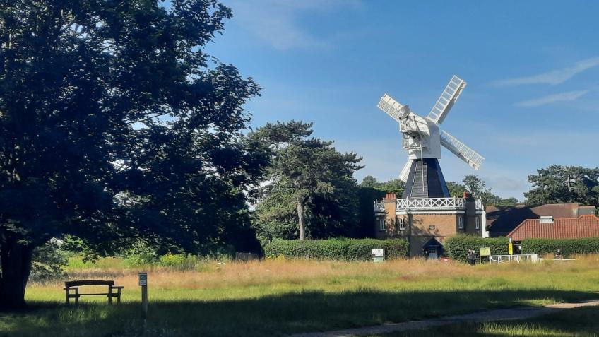 Wimbledon and Putney Commons Conservators