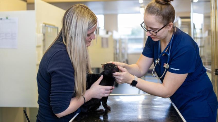 South West Somerset urgent welfare fund