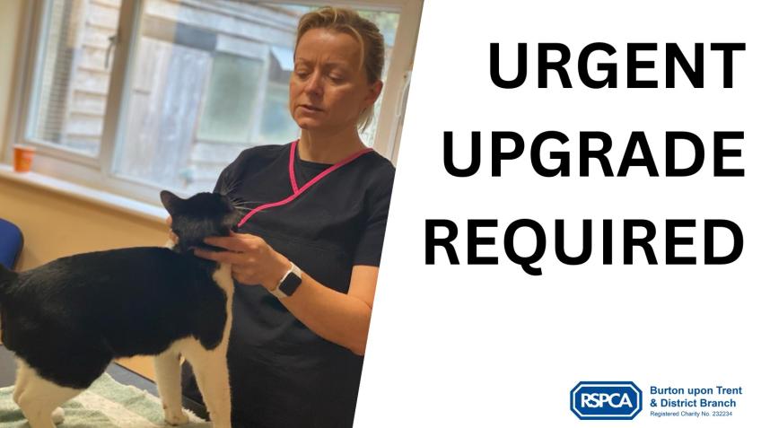 URGENT VET ROOM UPGRADE