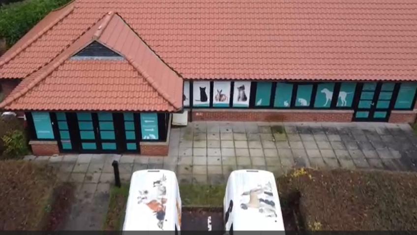 RSPCA Norwich - Solar Panel Project