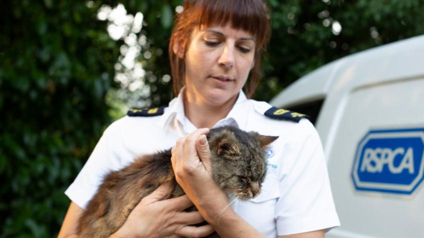 Animal Welfare Officer for Dartford and Gravesend