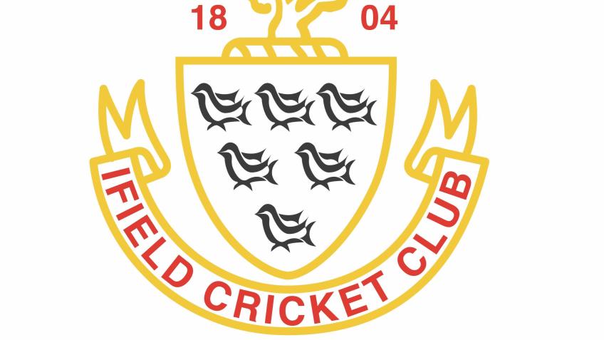 Ifield Cricket Club nets fundraising project