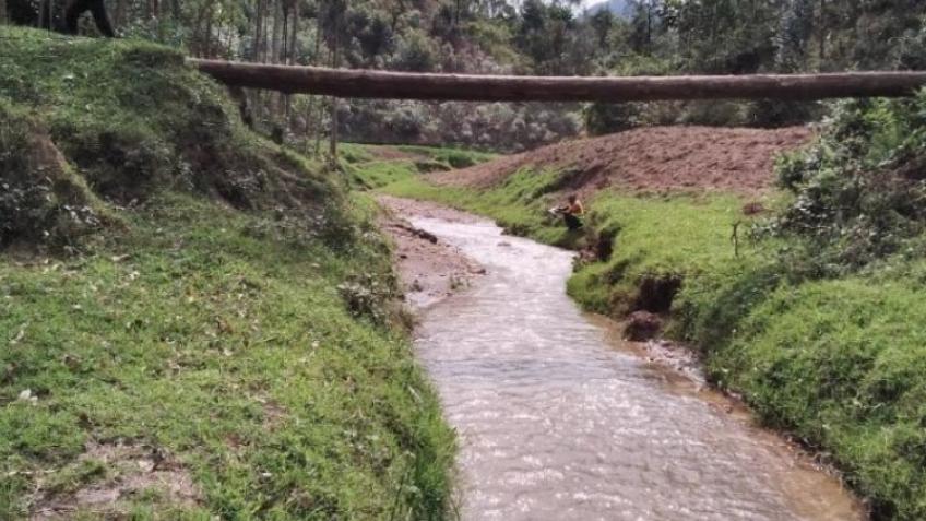 Cat Rebero Bridge Fundraising