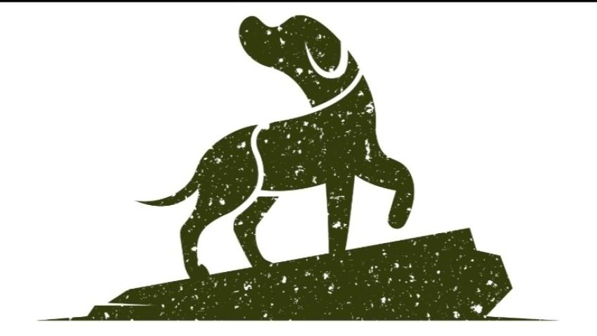Yorkshire Dog Field