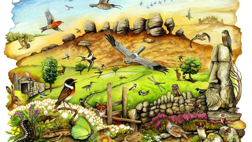 Calderdale’s First Community-owned Nature Reserve