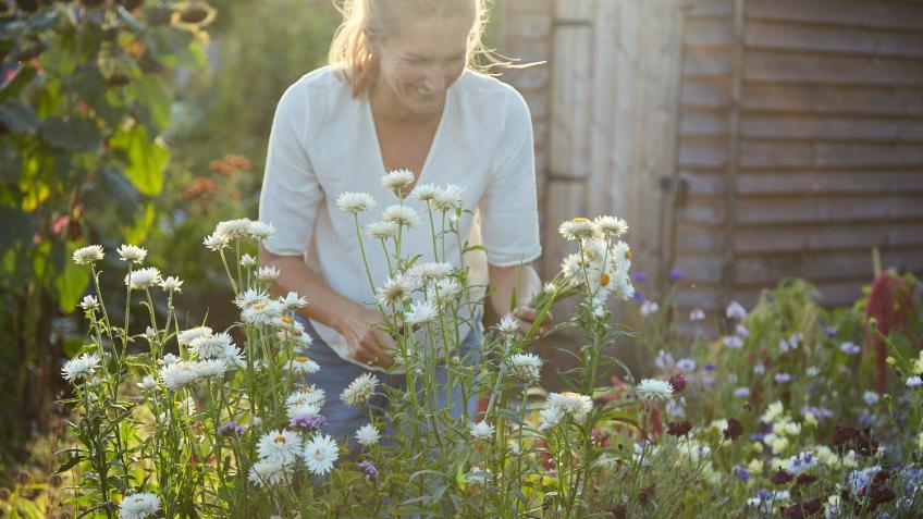 Let's build a flower studio