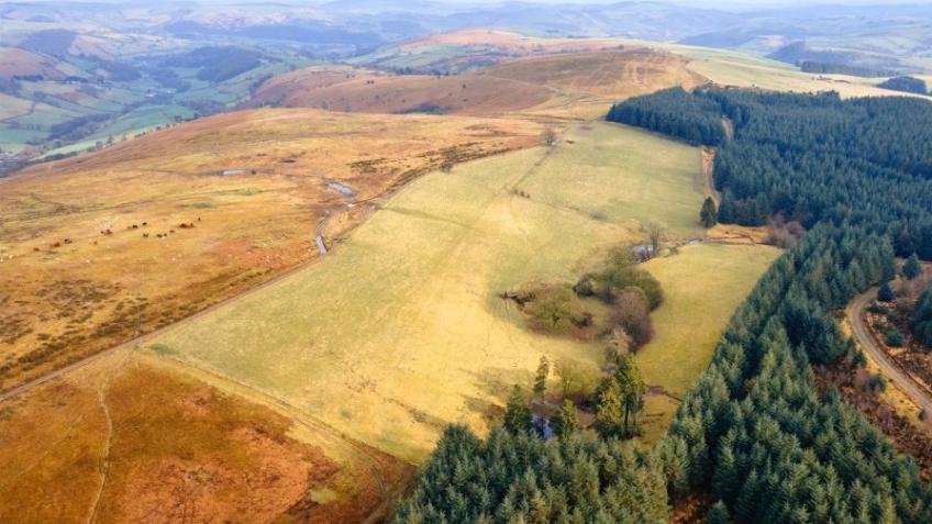 Creating a wildlife refuge in the Wilder Marches