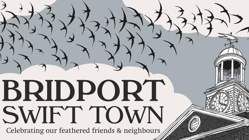 BRIDPORT SWIFT TOWN