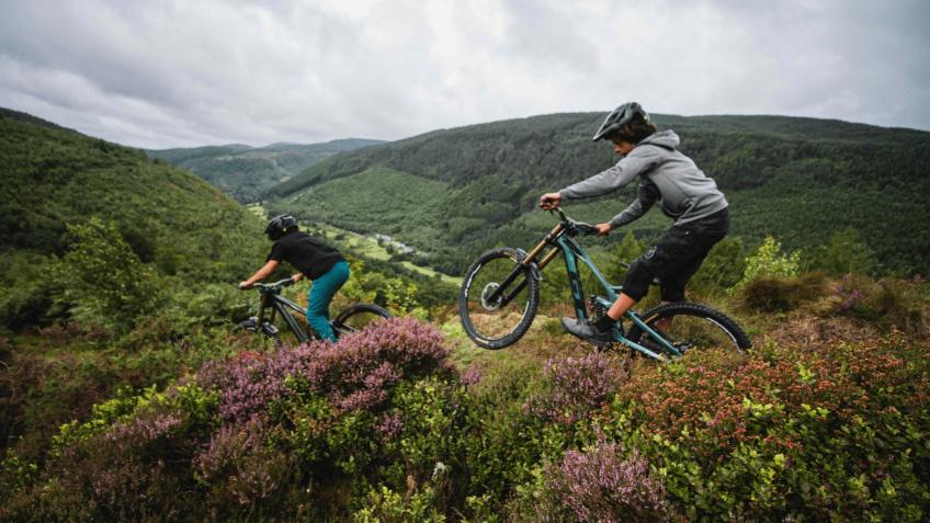 Bike Park Mountain Biking Project Whistler Bike Park Mountain Bike - Main Image