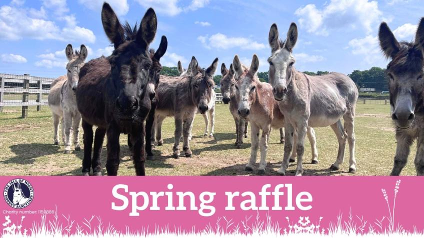 Isle of Wight Donkey Sanctuary Spring Draw