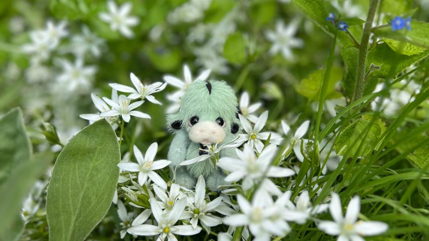 Win Mint & Support Loved Before's Next Steps