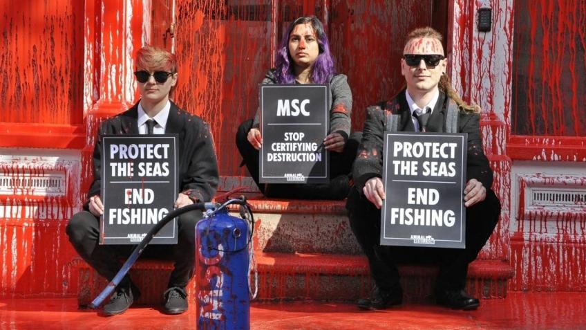 Support us after taking action against fishing