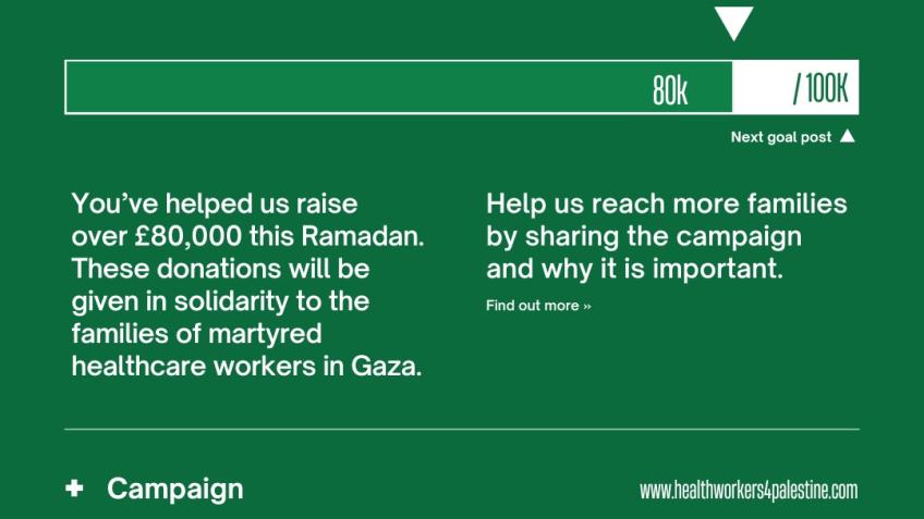 HealthWorkers 4Palestine Solidarity Fund- back up