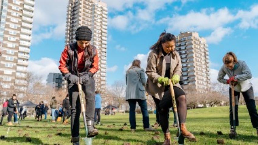 ELBA Volunteers give time & share/develop skills