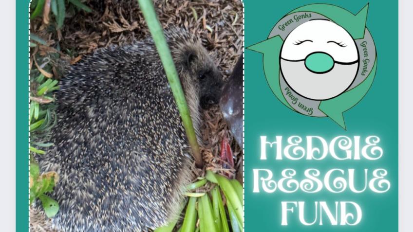 Hedgehog Rescue Fund