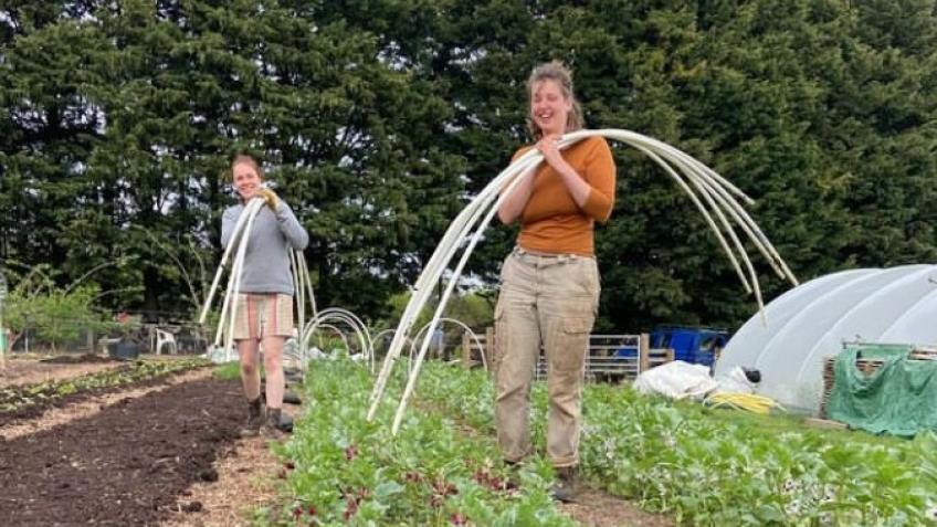 Norwich Farmshare