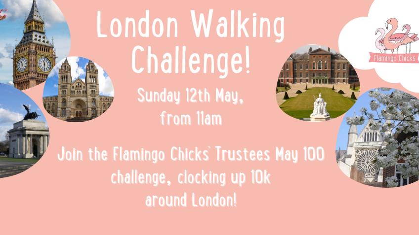 The London Flamingo Walk!