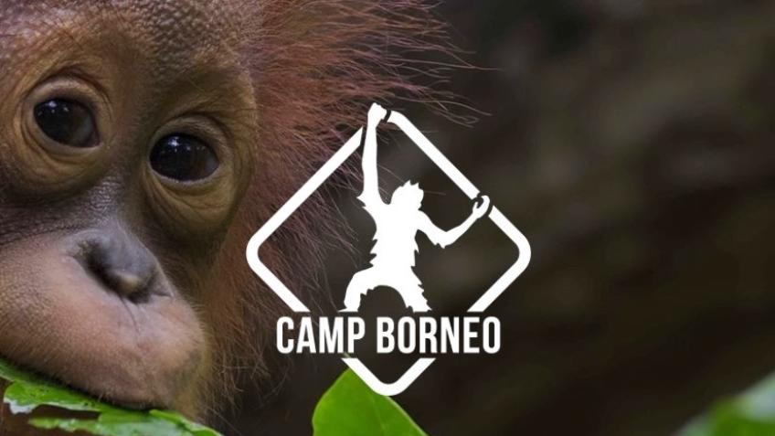 Trip To Borneo 2025