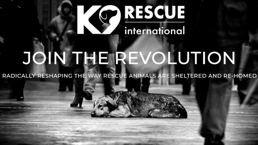 K9 RESCUE