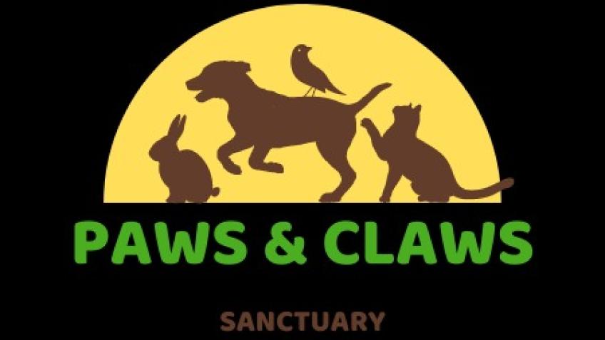 Small Sanctuary Seeking Charity Status