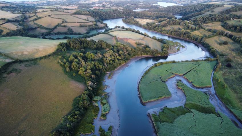 ! Let's Stop Sewage in the Dart !