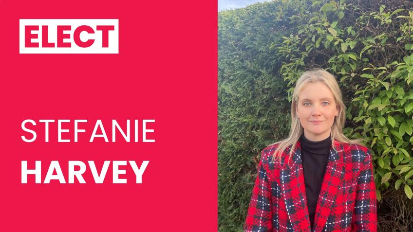 Crowdfunding for Stefanie Harvey, Havant Labour