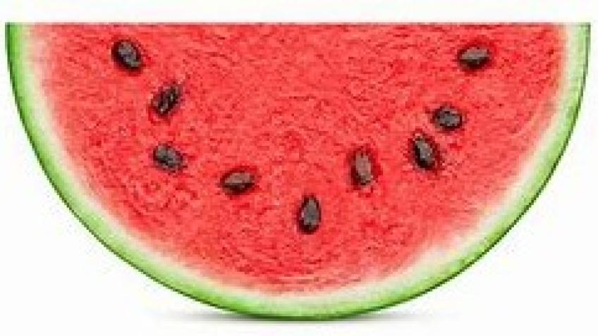 Palestine, the forbidden fruit