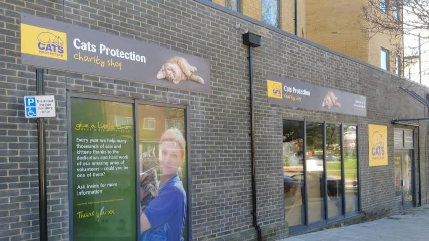 Cats protection