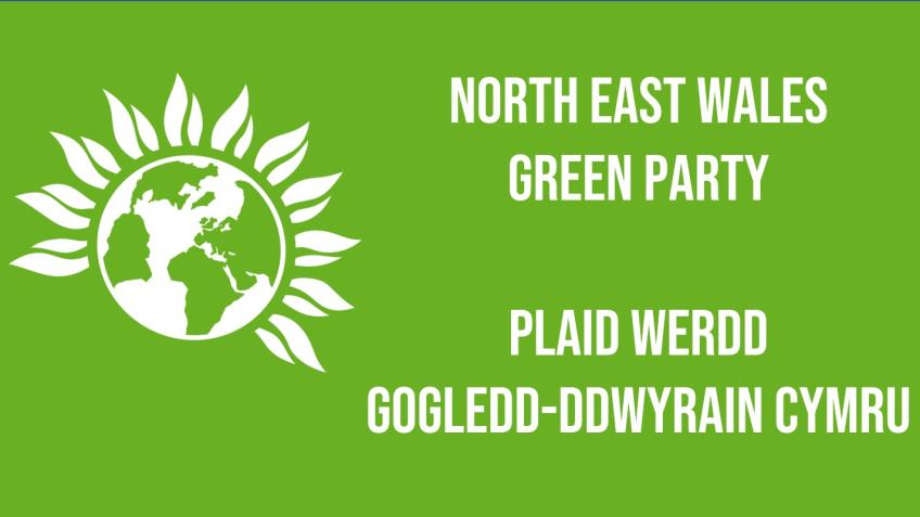 Support NE Wales Greens in the general election