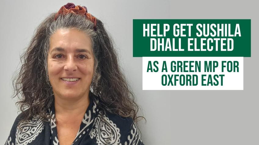 Help elect a Green MP in Oxford East