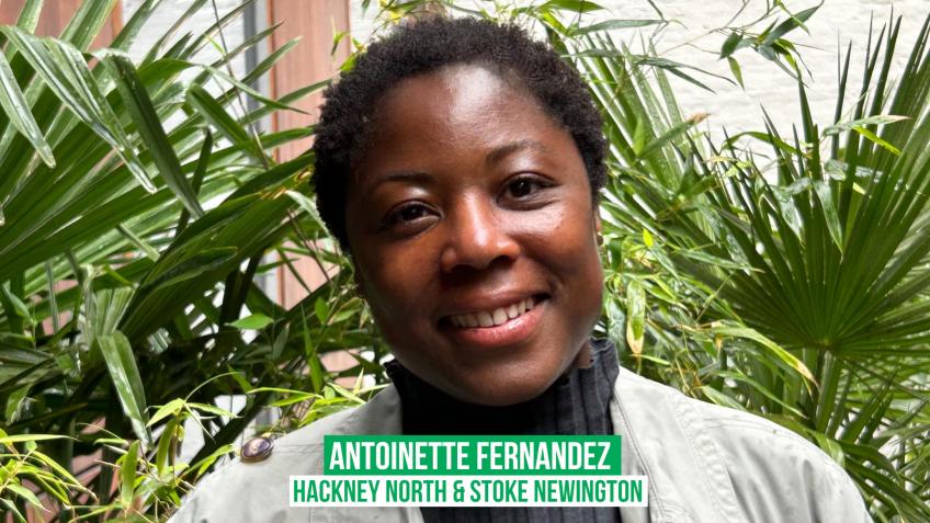 Elect Antoinette Fernandez for Hackney North & SN