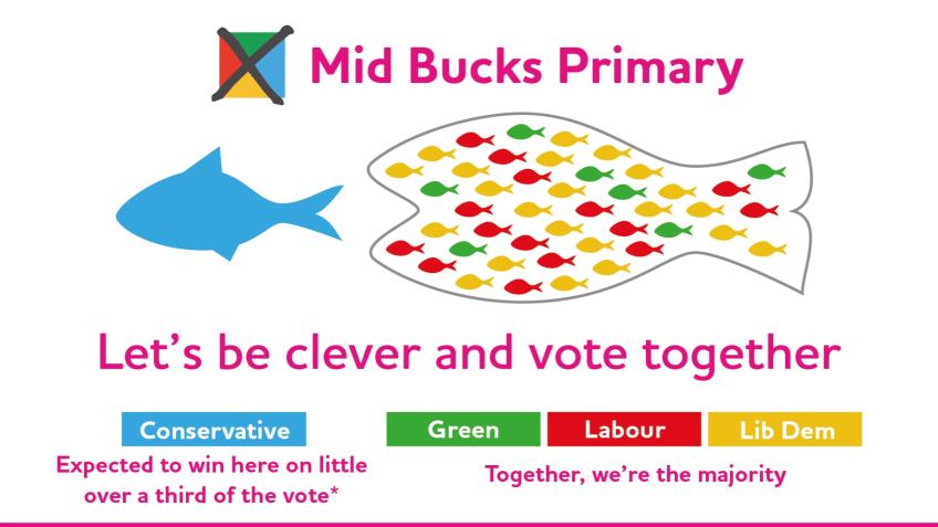 Help Mid Bucks Primary become a massive success!