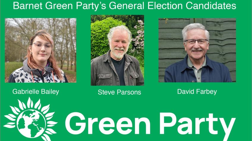 Support Barnet Green Party - a Politics crowdfunding project in London ...