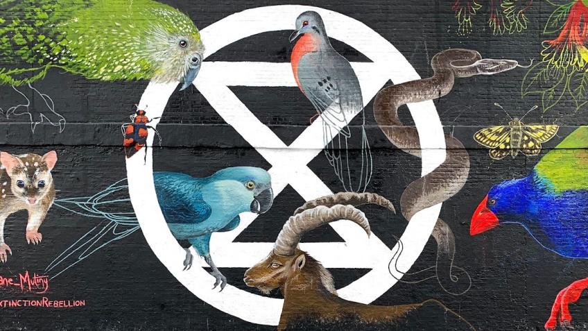 Restore Nature Now coaches from Norwich