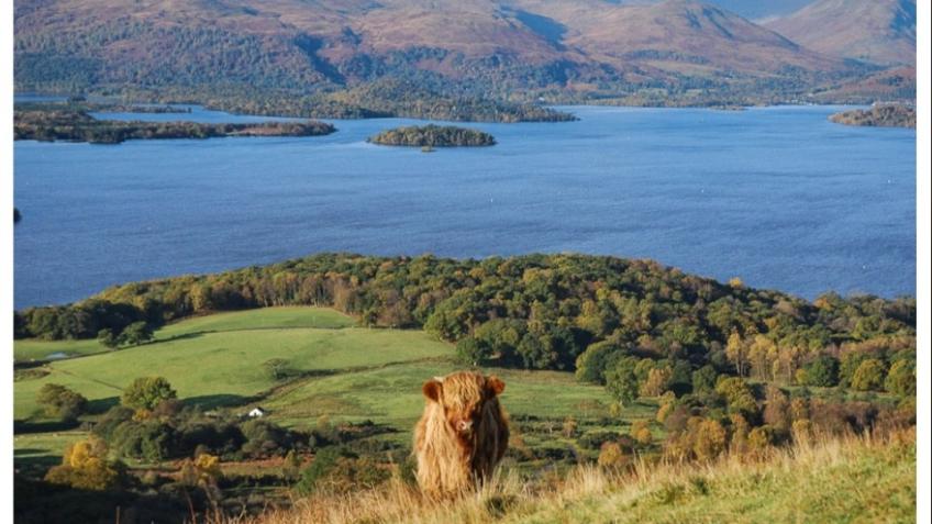 Sonia takes on the West Highland Way