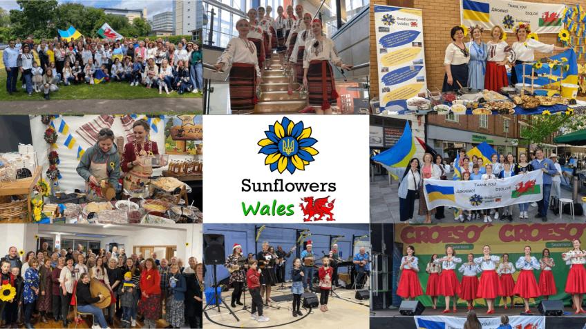 Sunflowers Wales: Support Ukraine Now