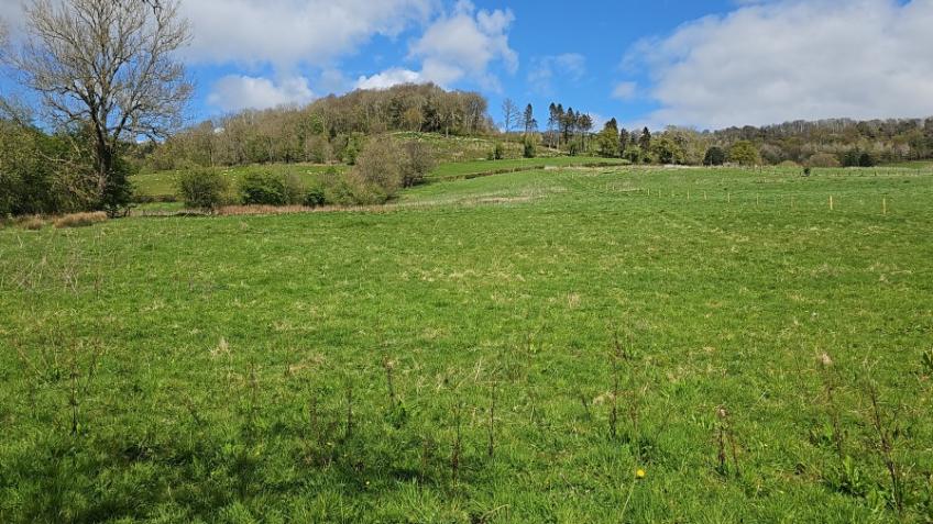 Invest in woodlands to protect and manage them.