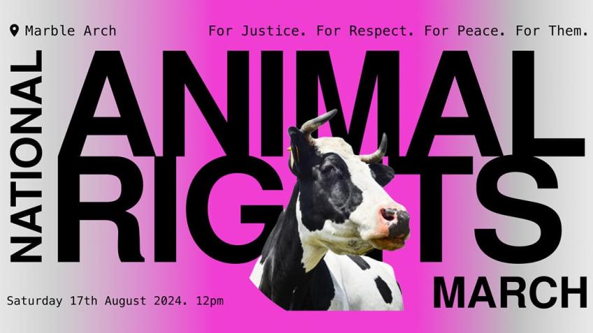 Raising funds for the National Animal Rights March