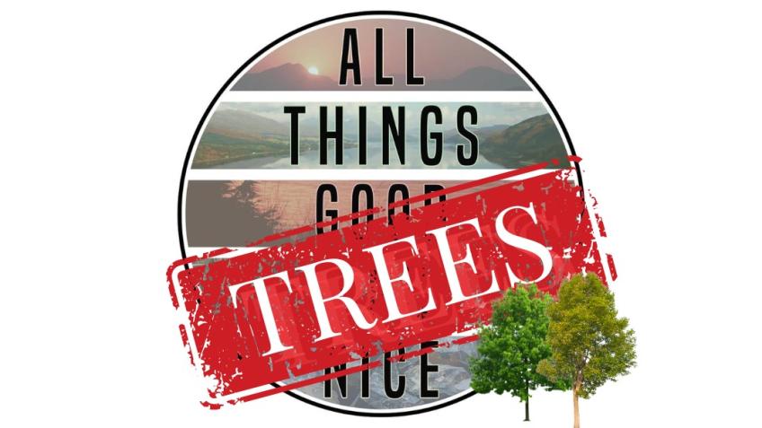 All Things Trees