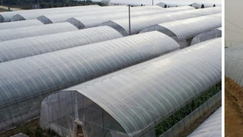 Poly eco farming saving uk crops bio agents